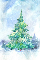 Landscape of a spruce and snow.Winter forest.Watercolor hand drawn illustration.