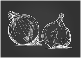 Hand-drawn illustration material: vegetables, onions,Chalk art