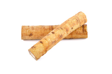 fresh burdock root or Gobo on white background