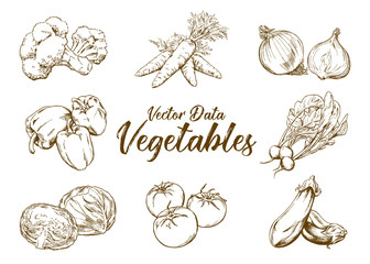 Hand-drawn illustration material: vegetable set, pen drawing