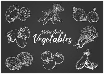 Hand-drawn illustration material: vegetable set, pen drawing, chalk art