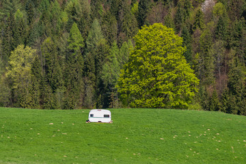 W Pieninach © Piotr