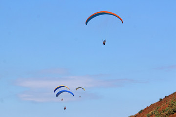 Paragliders flying wings in a blue sky