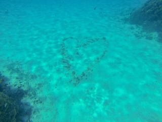 Fototapeta na wymiar Snorkeling in French Polynesia