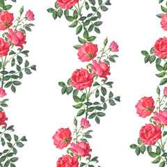 Beautiful bright pattern from a branch of a red rose with buds