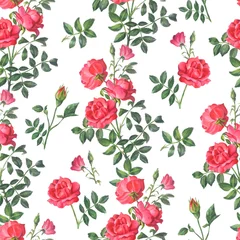 Behang Beautiful bright pattern from a branch of a red rose with buds © Mariia