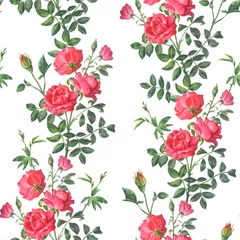 Poster Beautiful bright pattern from a branch of a red rose © Mariia