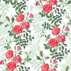 Foto op Canvas Mooi helder patroon van een tak van een rode roos met toppen en groene bladeren op een witte achtergrond. © Mariia