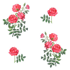 Simple floral pattern from a branch of a red rose