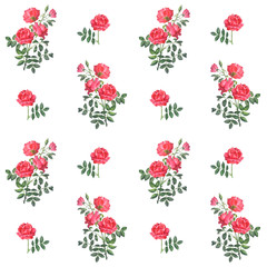 Beautiful pattern of branches of roses with green leaves
