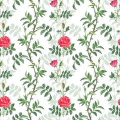 Beautiful pattern of pink roses with green leaves on a white background.