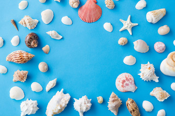 sealife and summer concept - frame of different sea shells on blue background