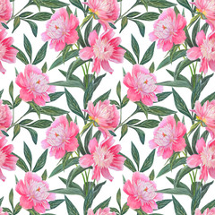Seamless pattern with beautiful pink peonies isolated on white.
