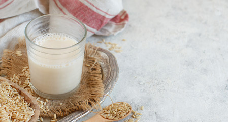 Vegan rice milk, non dairy alternative milk