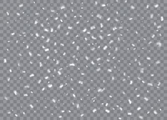 Snowflakes, snow background. Christmas snow for the new year. Vector illustration.