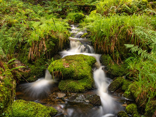 long exposure small stream in Wales with lush green foliage