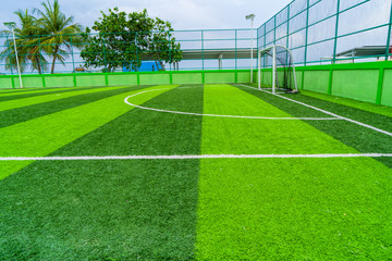 Soccer field, artificial green grass, among a palm forest.