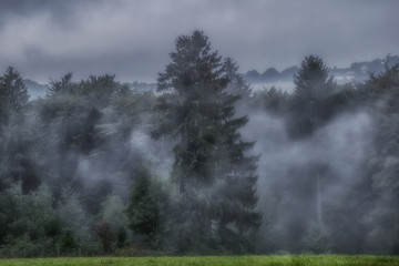 Nebel im Tal nach dem Regen