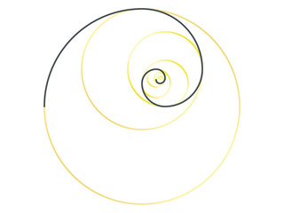 黄金螺旋