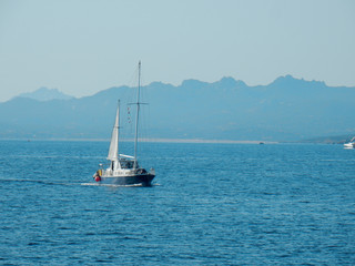 Sailing fishing boat