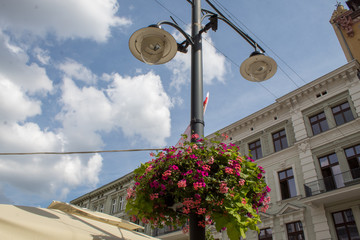  Summer European city landscape: an old building, a street lamp and a flower bed.
