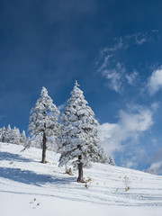 雪山