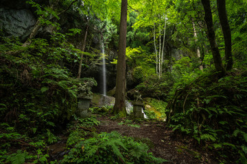 兵庫県　吉滝の自然と風景