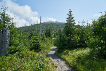 Nationalpark Bayrische Wald von Waldh&auml;user bis Neusch&ouml;nau und rund um den Berg Lusen 1373m