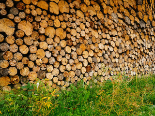 A pile of stacked wood in the woodpile. Preparation for the winter