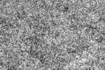 Abstract background, small gray and white spots.