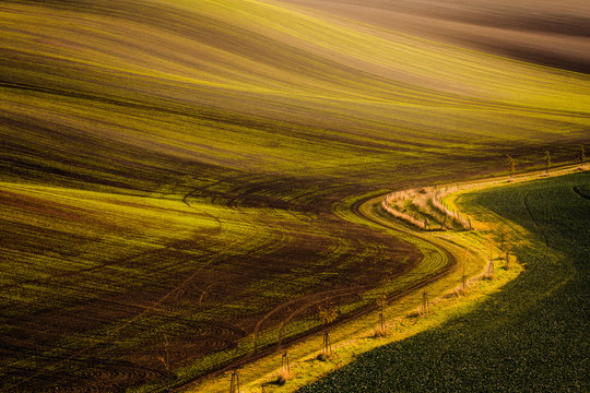 Lone path between fields in Moravian Tuscany © Vit Kovalcik