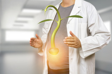 Pregnant white woman scientist holding germinating seed on a blurred hospital background 3d rendering. Pregnancy medical concept for natality and baby growth.