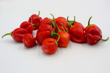 Scotch Bonnets