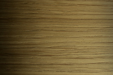 Wood Panel Pattern Shade Textured