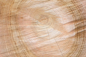 Naklejka premium Wood sawn in half and photographed as a background.