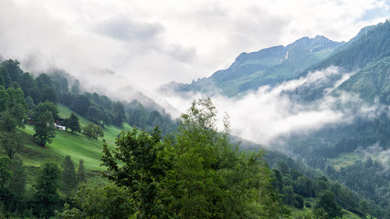 Alpine valley with green grass and mountains in the fog, Austrian