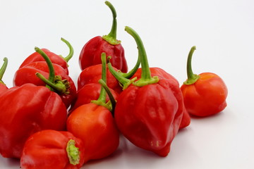 Scotch Bonnets