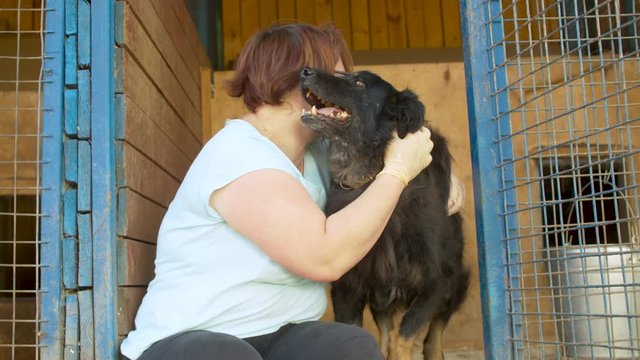 Volunteer in the nursery for dogs