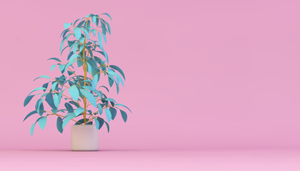 blue plant on pink background