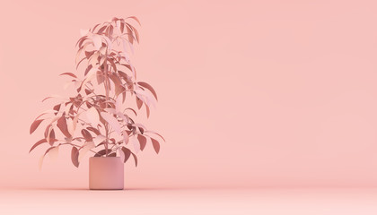minimal pink plant