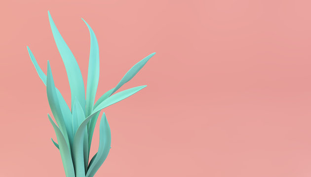 vivid color plant on pink background