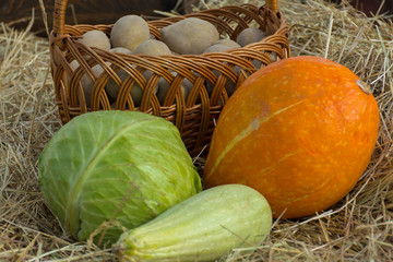 potatoes in a basket, pumpkin and eggplant on a straw