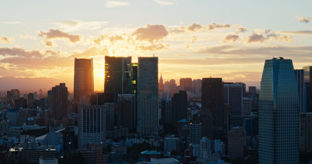 Tokyo city at sunset