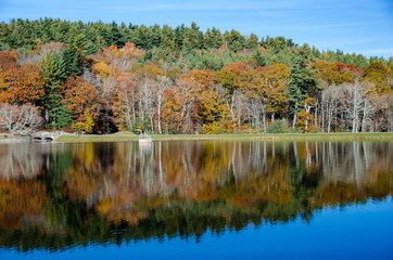 Fall along the North Carolina section of the Blue Ridge Parkway.