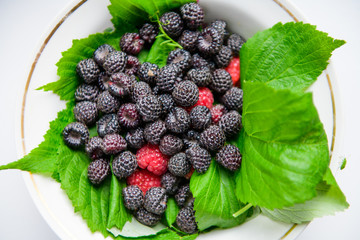 berries on green leaves. black raspberries with red. berries. vitamins from berries.
