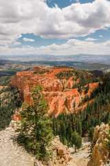 Hiking trail from Rainbow Point, Bryce Canyon National Park