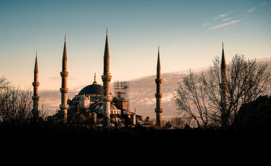 Fototapeta premium blue mosque in istanbul