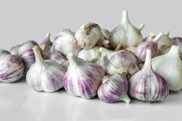 Useful plants, spices. Garlic on a gray background.