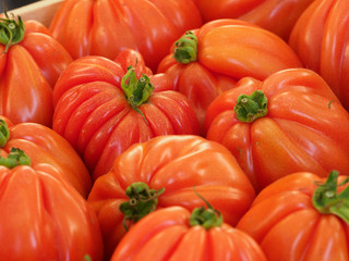 Red farm fresh tomaotes