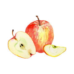 Red apples isolated on white background. Watercolor illustration of cut and whole red apples. Harvest collection. Fruit set.